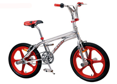 20"freestyle bicycle